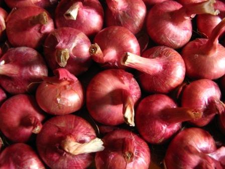 красный лук красный лук